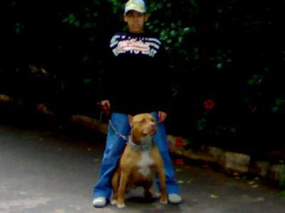 abdo