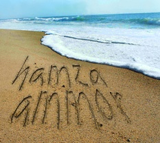 hamza ammor